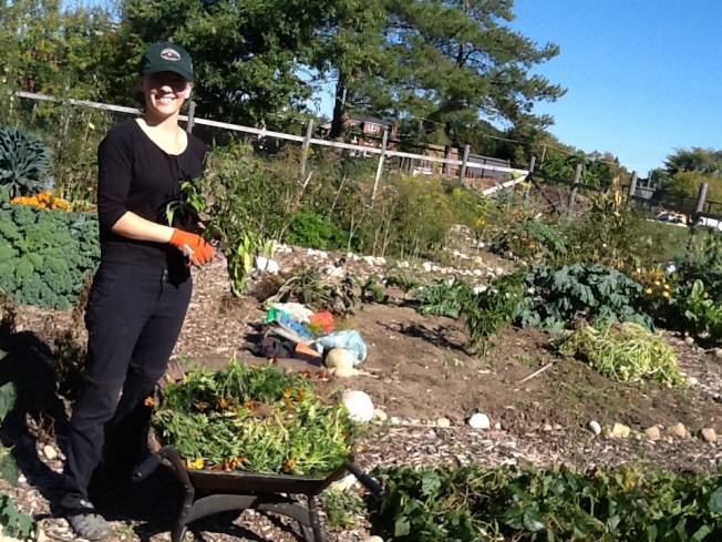 Guelph Street Garden Fall Clean UP