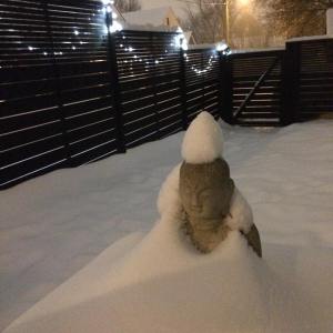 Cloud White Collective at Meg's House