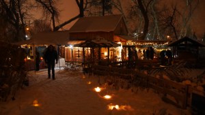 A Little Bird Told Me Holiday Sale at Little City Farm