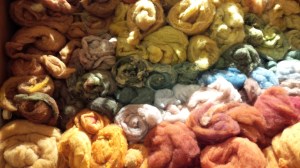 Our Fibres, Our Forest