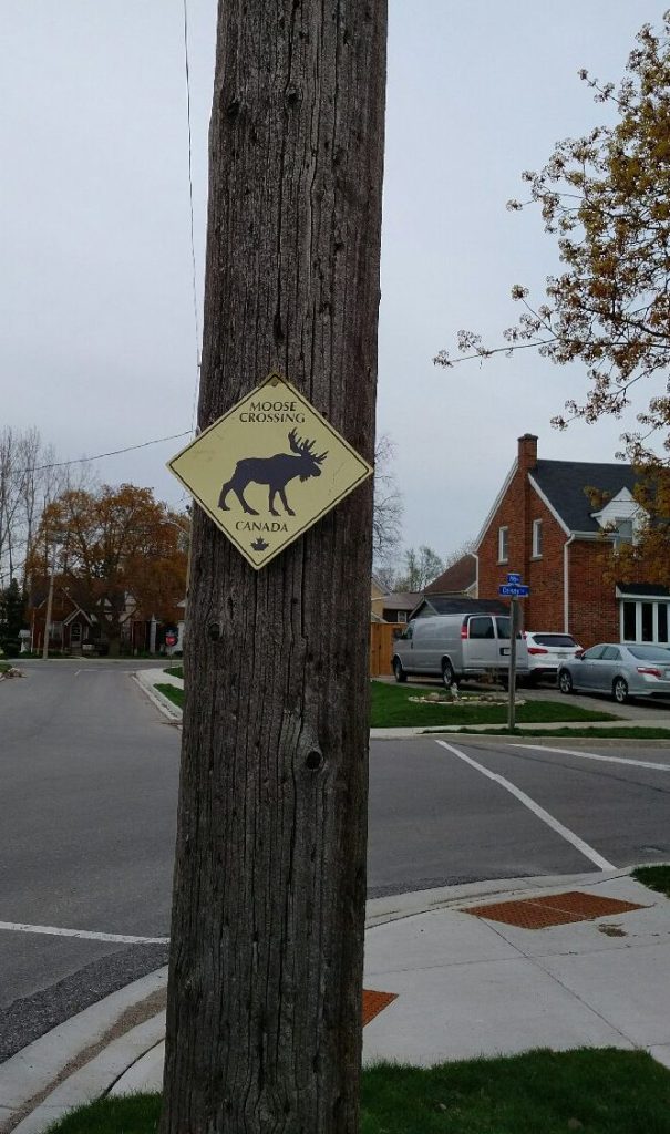 moose crossing sign on Peltz Ave