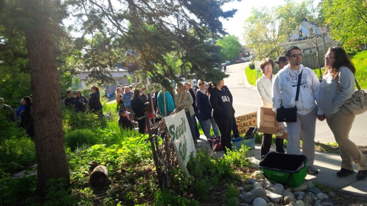 annual seedling sale