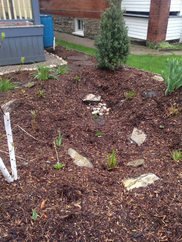 Photo May 06, 3 44 12 PM