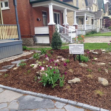 Completed rain garden in Dawn Parker's front yard on Shanley Street