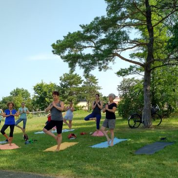 a group of 15 people in tree pose during yoga in the park at Uniroyal Goodrich Park, Kitchener