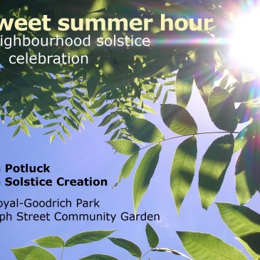 sunlight filtered through tree leaves