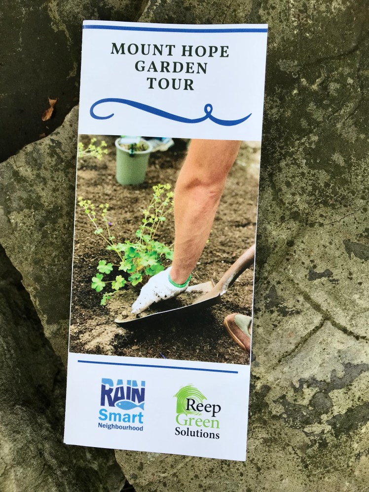 Mount Hope Rain Garden Tour brochure on a rock